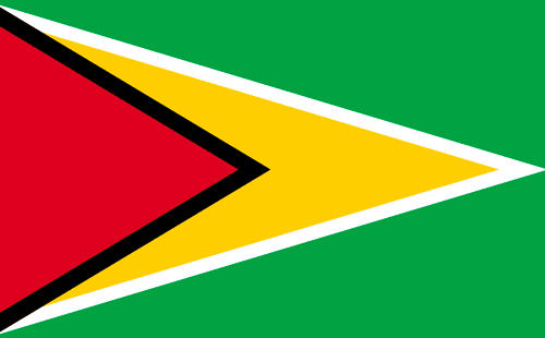 Bandera de Guyana
