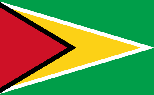 Bandera de Guyana